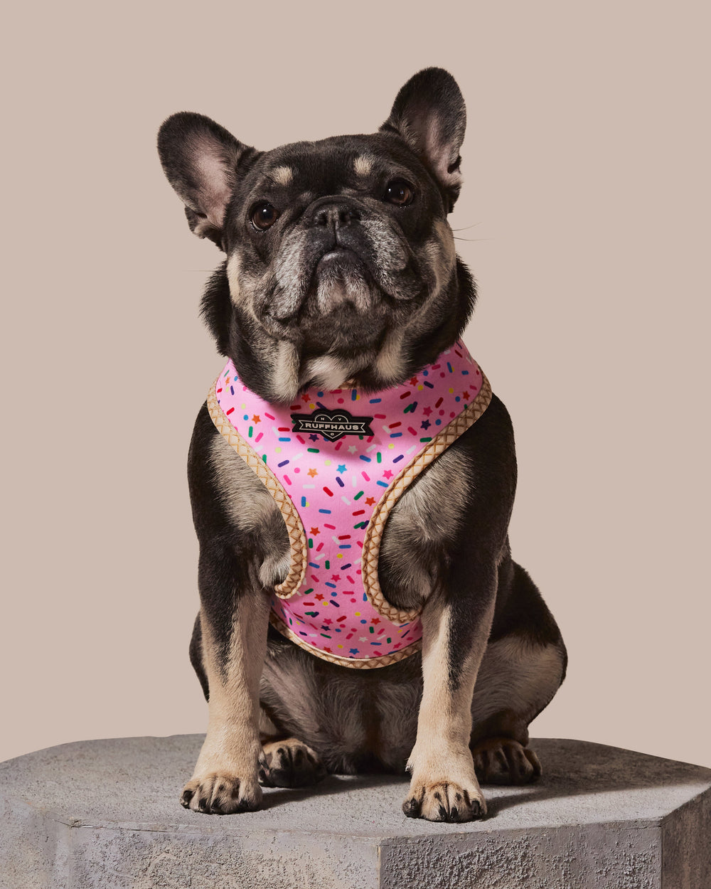 Sprinkle Me Pink Reversible Harness