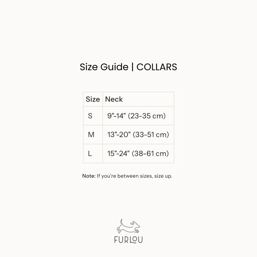 'Black' - Canvas Dog Collar