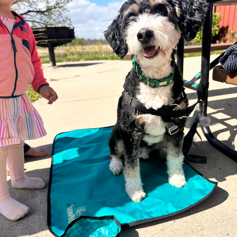 Ultralight Portable Dog Settle Mat: Water-Resistant, USA-Made Place Training Mat