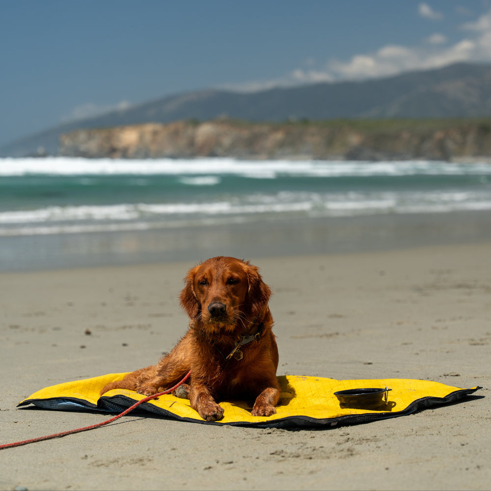 Ultralight Portable Dog Settle Mat: Water-Resistant, USA-Made Place Training Mat