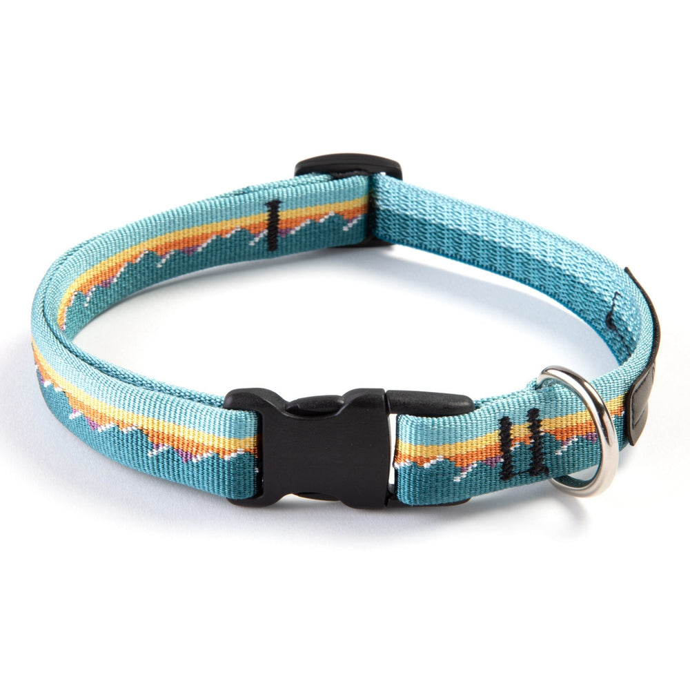 Classic Dog Collar 3/4''