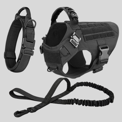 Large Dog Harness & Leash Set – Training Vest for Big Breeds