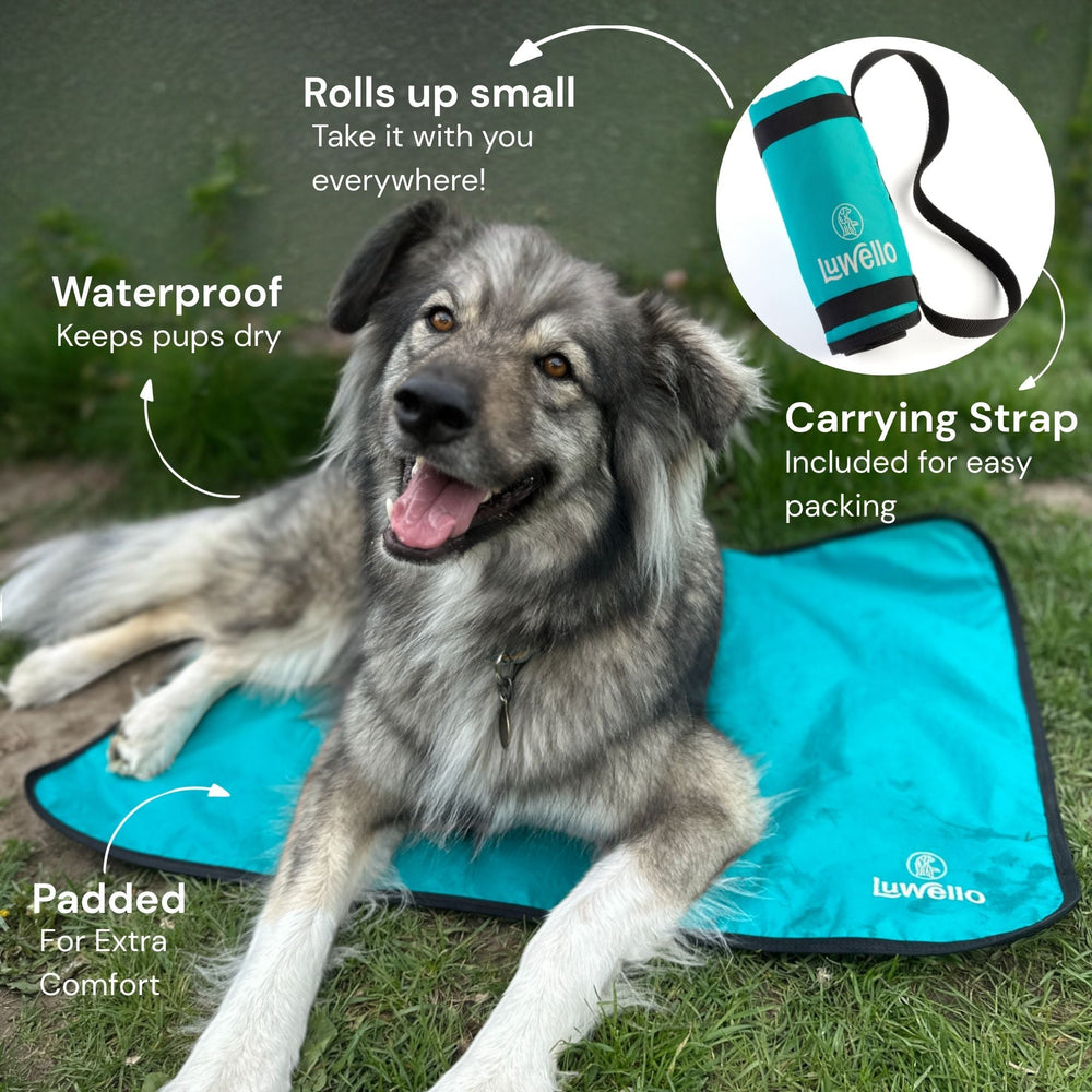 Ultralight Portable Dog Settle Mat: Water-Resistant, USA-Made Place Training Mat
