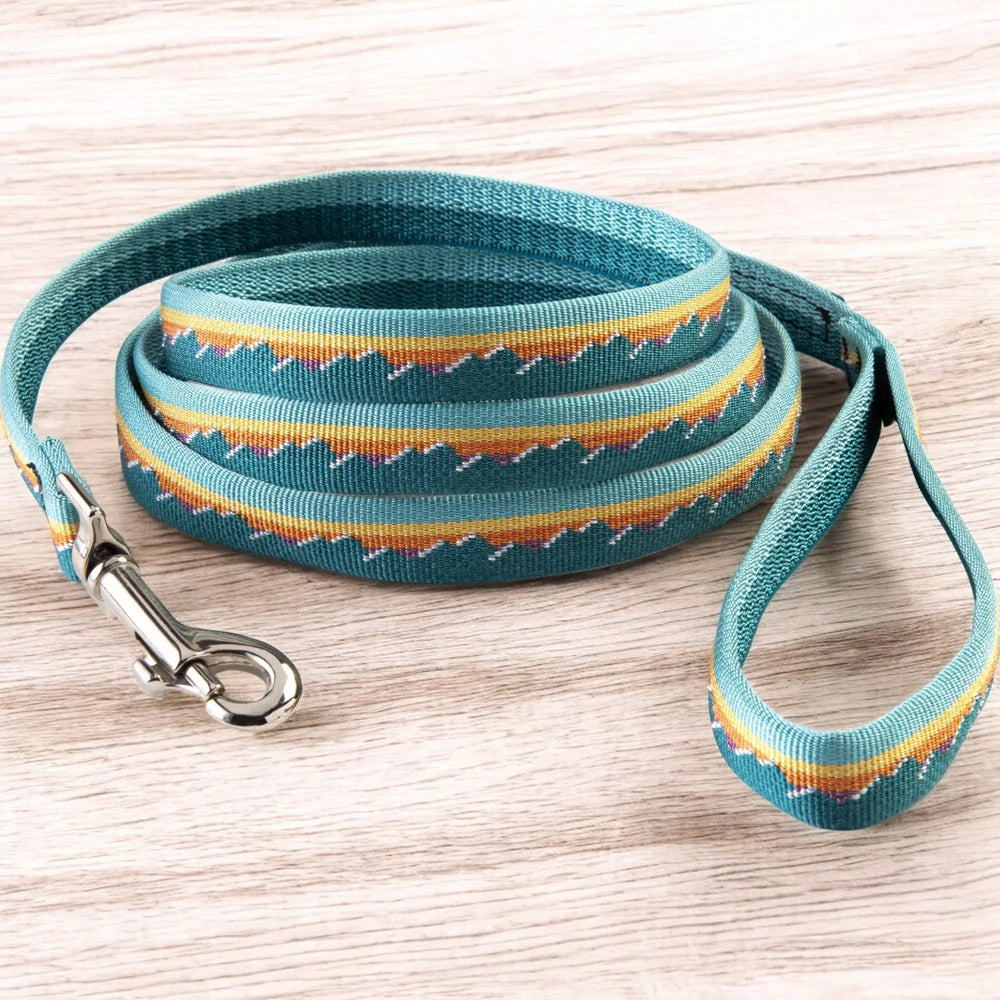 Classic Dog Leash 1''